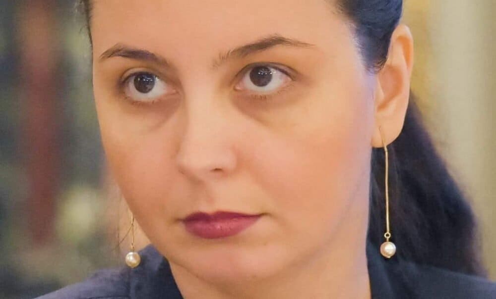 Laura Ștefan, Expert Forum