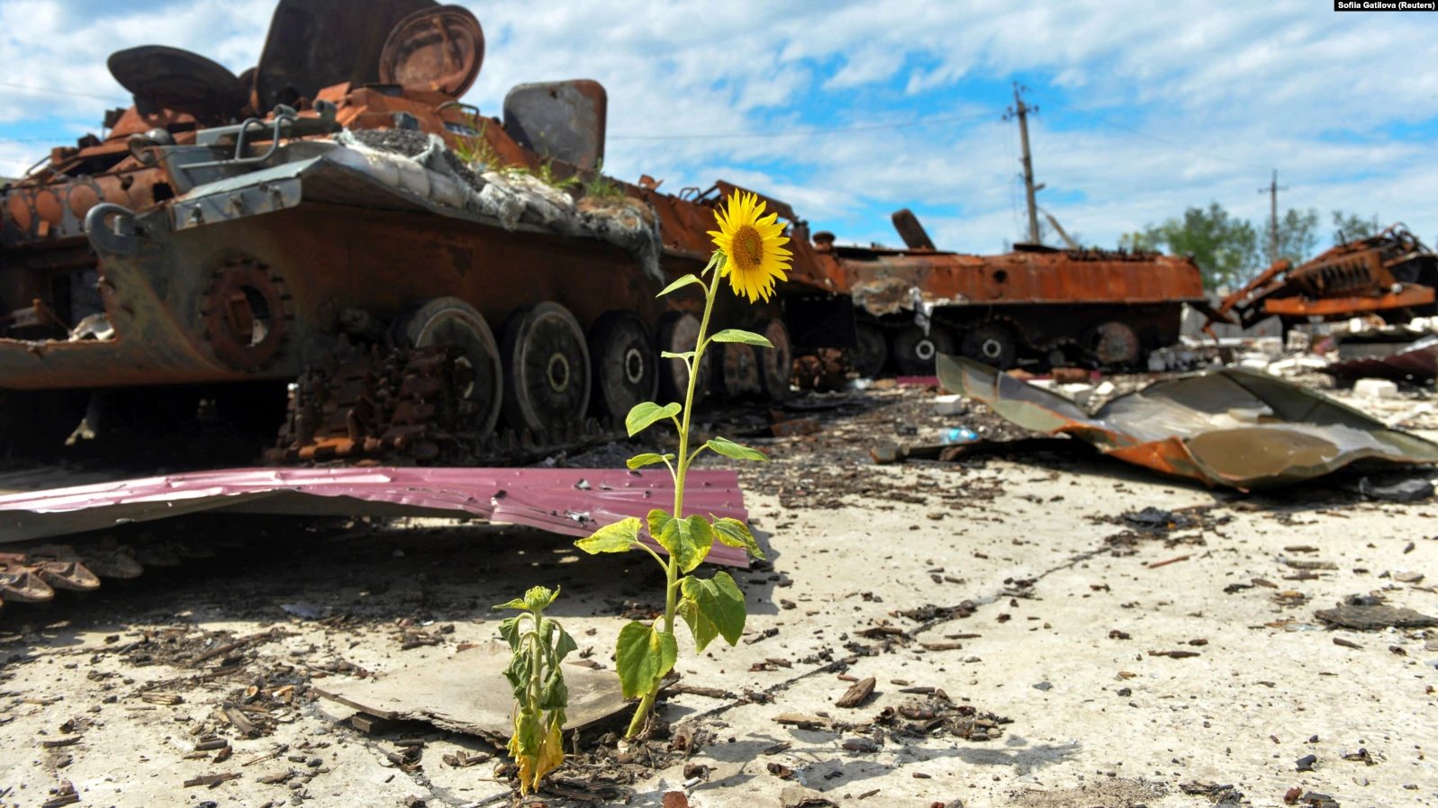 Ucraina Foto Europa Libera