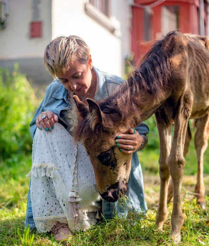 Sanctuarul Nima, apel la donaţii pentru hrana animalelor găzduite