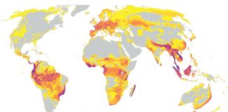 Raport alarmant al WWF: Scădere dramatică a faunei sălbatice a planetei