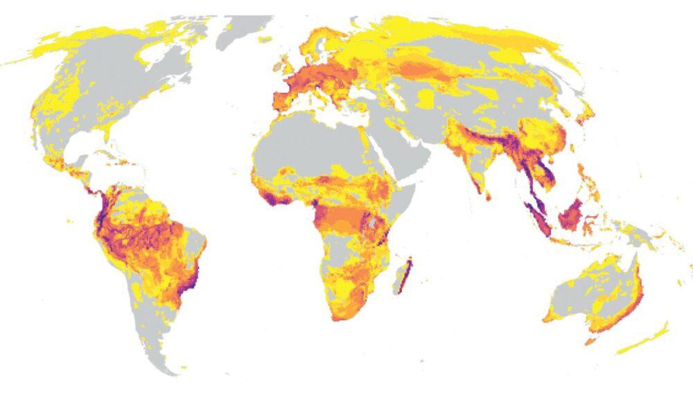 Raport alarmant al WWF: Scădere dramatică a faunei sălbatice a planetei