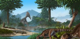 O nouă specie de dinozaur, descoperită în Geoparcul Internațional UNESCO Țara Hațegului