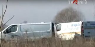 Tragedia femeii ucisă de o haită de câini fără stăpân dezvăluie lipsa de coordonare a autorităţilor