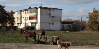 Orasul Negru Vodă Constanta Sursă foto info-sud-est.ro