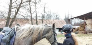 Câmpul lui Benedek, un loc unde se întâlnesc libertatea cu bucuria