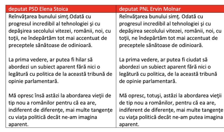 Declarația identică a deputatei Elena Stoica și a deputatului Erwin Molnar