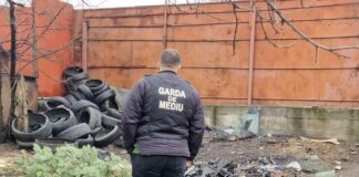 Garda de Mediu Botoșani nu mai poate funcţiona după ce DNA a reţinut 3 comisari