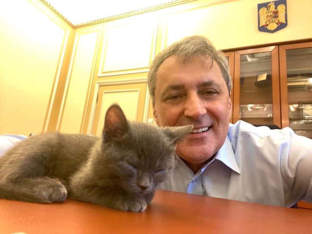 Ce mai face fostul ministru din pandemie Vela: lege pentru acces cu animale în instituții