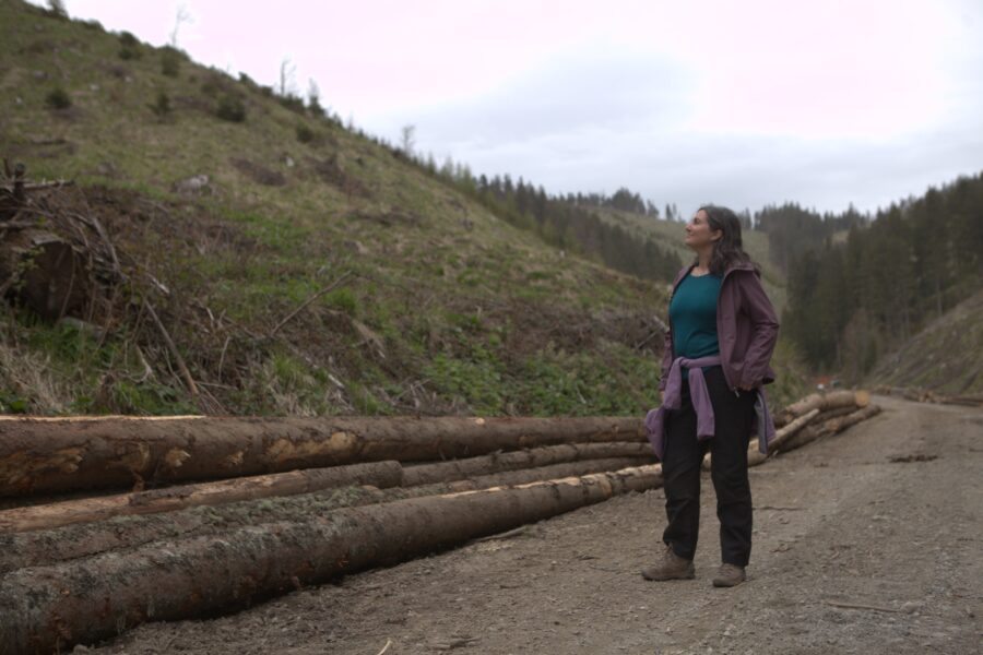 Europarlamentarul verde Anna Deparnay-Grunenberon a asistat marți, 16 mai 2023, la o tăietură de pantă în situl Natura 2000 din Munții Făgăraș, România, producând cherestea certificat FSC. Foto: Crina Boroș