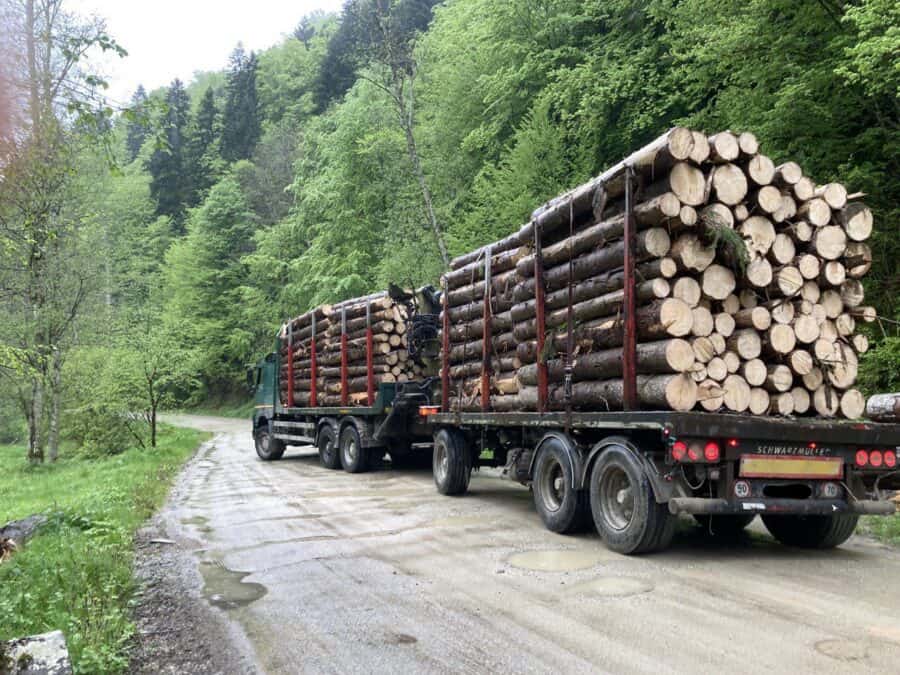 Un camion care transporta lemn recent tăiat dintr-o pădure privată (conform angajaților Romsilva prezenți), care circulă prin Ocolul Domnești din Romsilva, într-o zi ploioasă, în Munții Făgăraș de Sud, 17 mai 2023. Fotografie de Crina Boroș