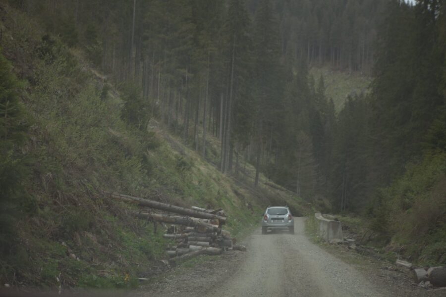 Investigațiile UE privind tăierile ilegale. Marți, 16 mai, am mers cu mașina spre valea râului Bârsa, estul Făgărașului, sit Natura 2000.