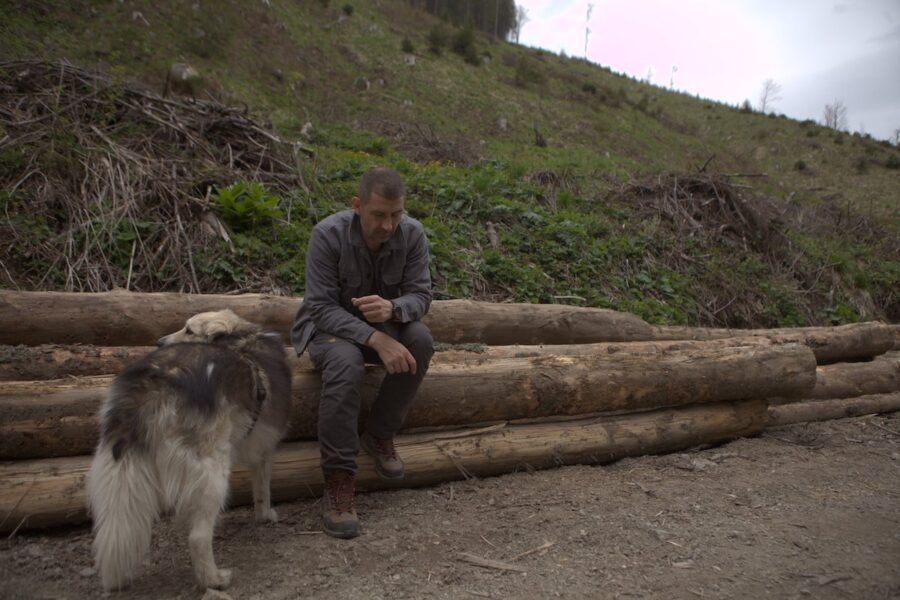 Gabriel Păun, de la Agent Green, un luptător împotriva tăierilor ilegale de păduri