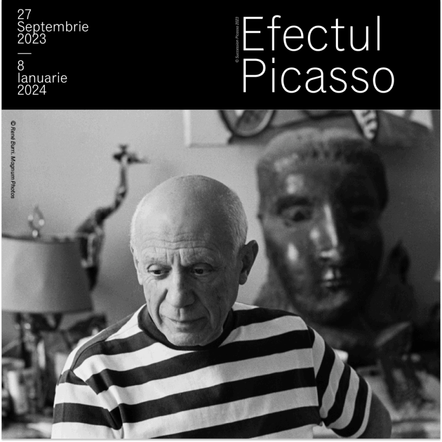 Expoziția Efectul Picasso
