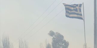 Atenţionare de călătorie în Grecia. Pericol de extindere a incendiilor de vegetaţie de gradul 5