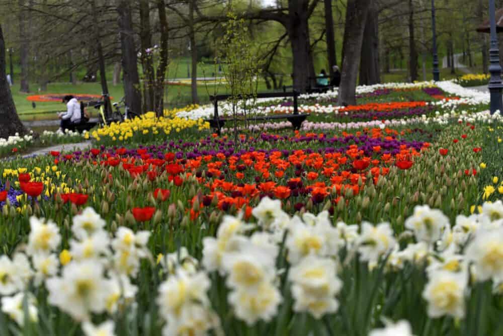 Parcul Romanescu Craiova Sursă foto Facebook