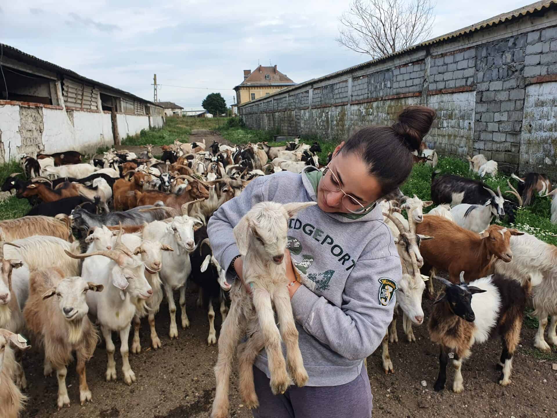 Adriana Verdeș Sursă foto reporter24.ro