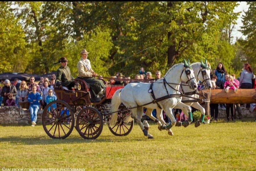 Număr record de călăreți și cai înscriși la Karpatia Horse Show 2023