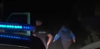 VIDEO Doi puștani băuți, urmăriți cu focuri de armă și opriți ca-n filme de polițiști, după ce au furat o mașină