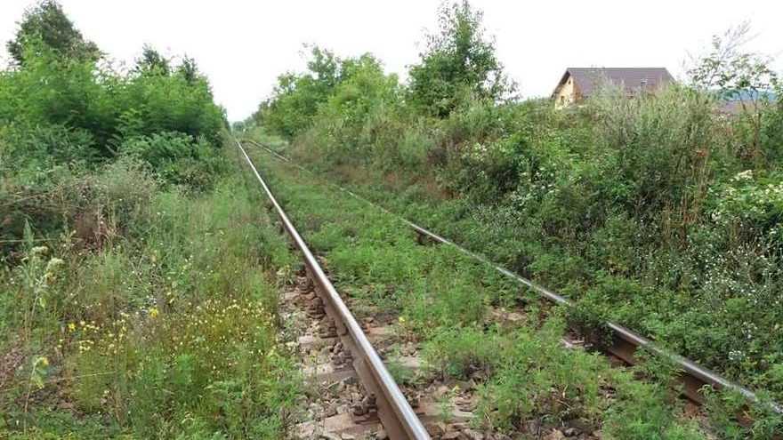 48 kilometri de cale ferată, aproape să fie făcute cadou lui Gruia Stoica. Foto Club feroviar