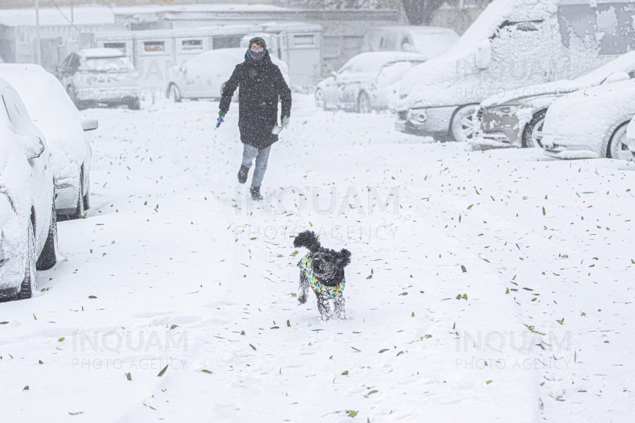 Diseară vin ninsorile în Moldova - meteorologii au emis, miercuri, o informare de precipitaţii moderate cantitativ