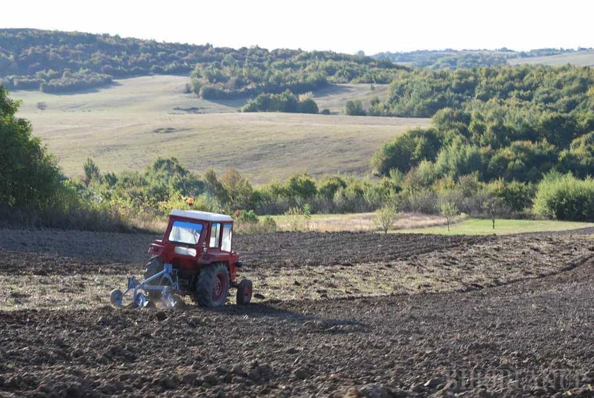 Judeţul Bihor, pe primul loc în ţară la finanțările pentru dezvoltarea mediului rural