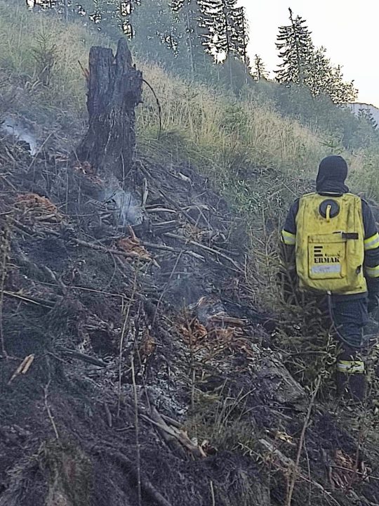 Un incendiu a izbucnit noaptea trecută pe muntele Tămașu