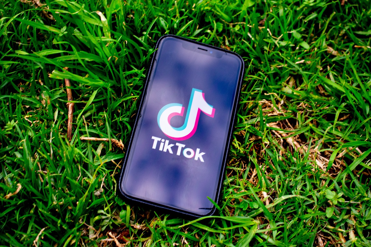 SUA dă în judecată TikTok. Ar fi colectat ilegal datele copiilor. Departamentul de Justiţie al SUA a dat în judecată, vineri, TikTok, acuzând compania că încalcă legea privind confidenţialitatea online a copiilor şi că a încălcat o înţelegere încheiată cu o altă agenţie federală.