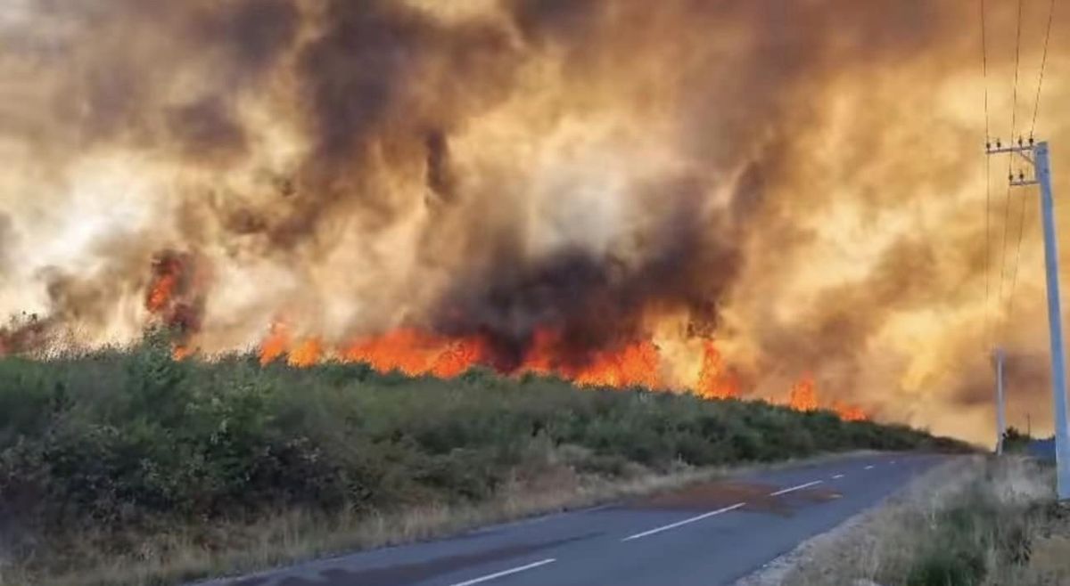 O comisie cercetează cauzele incendiului care distrus 500 de hectare de păşune şi şase gospodării din Maramureș