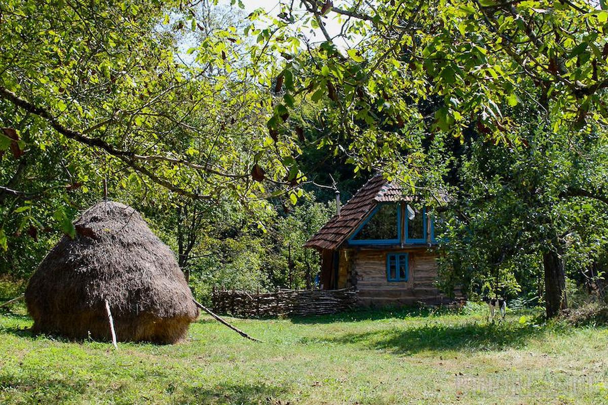 Un mic grup de străini readuc la viaţă un sat din Bihor | Bihoreanul