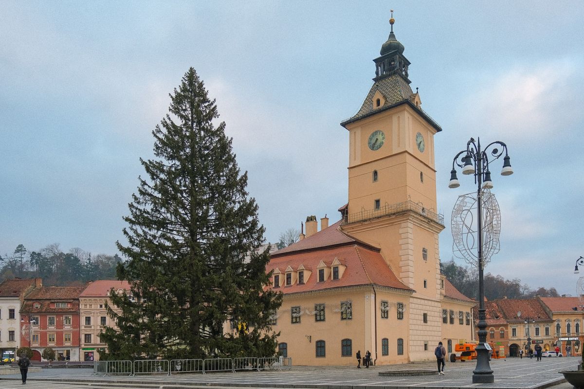 Brașovul va avea cel mai înalt brad natural de Crăciun din România