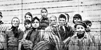 Roma for Democracy, apel către comunitățile de romi din România: „Nu putem uita suferințele strămoșilor noștri în timpul Holocaustului”