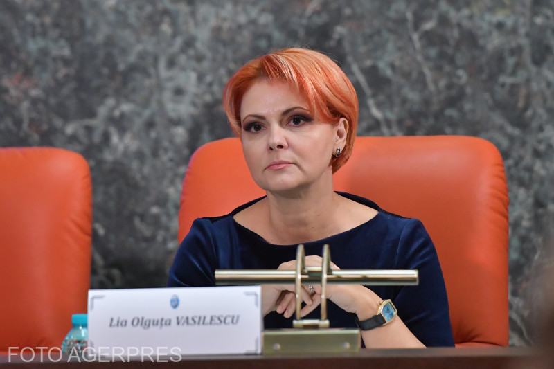 Judecătoarea care a felicitat-o pe Lia Olguța Vasilescu, numită să-i judece procesul