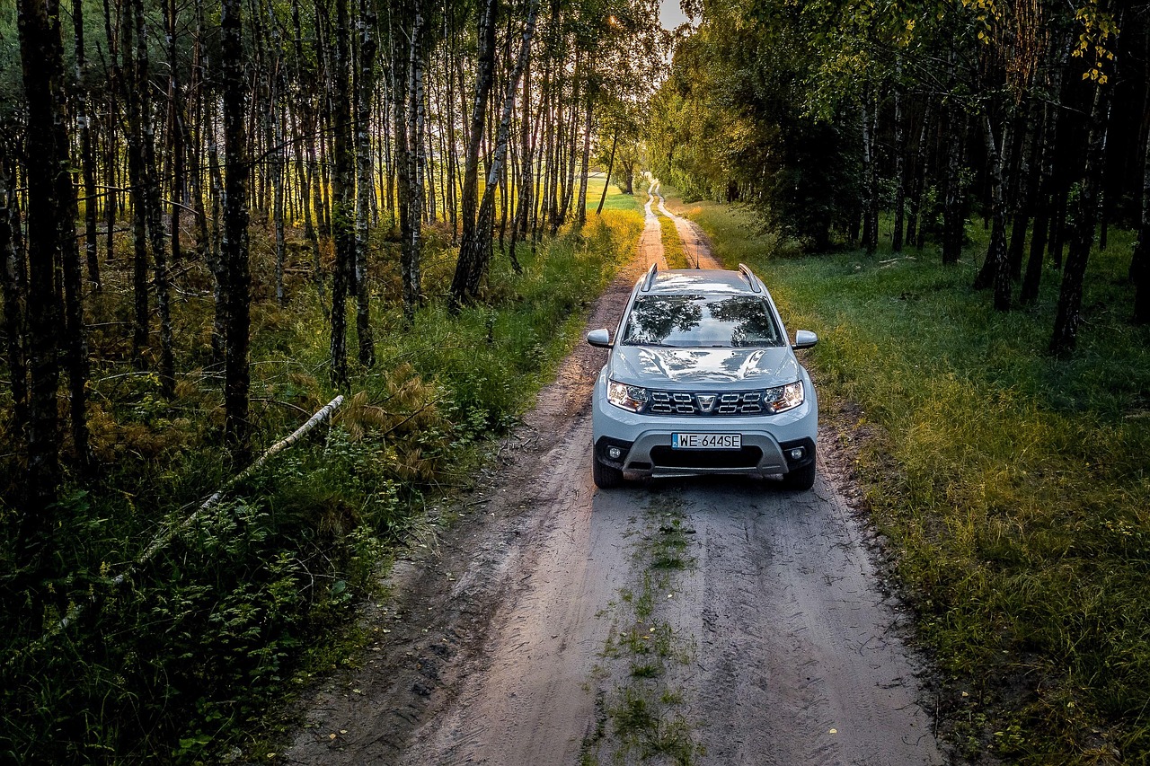 Conducerea Dacia, un nou proiect de lege privind taxarea auto