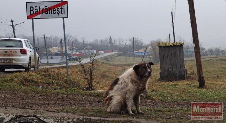 Județul Botoșani, de 3 ori mai multe înmormântări decât nașteri