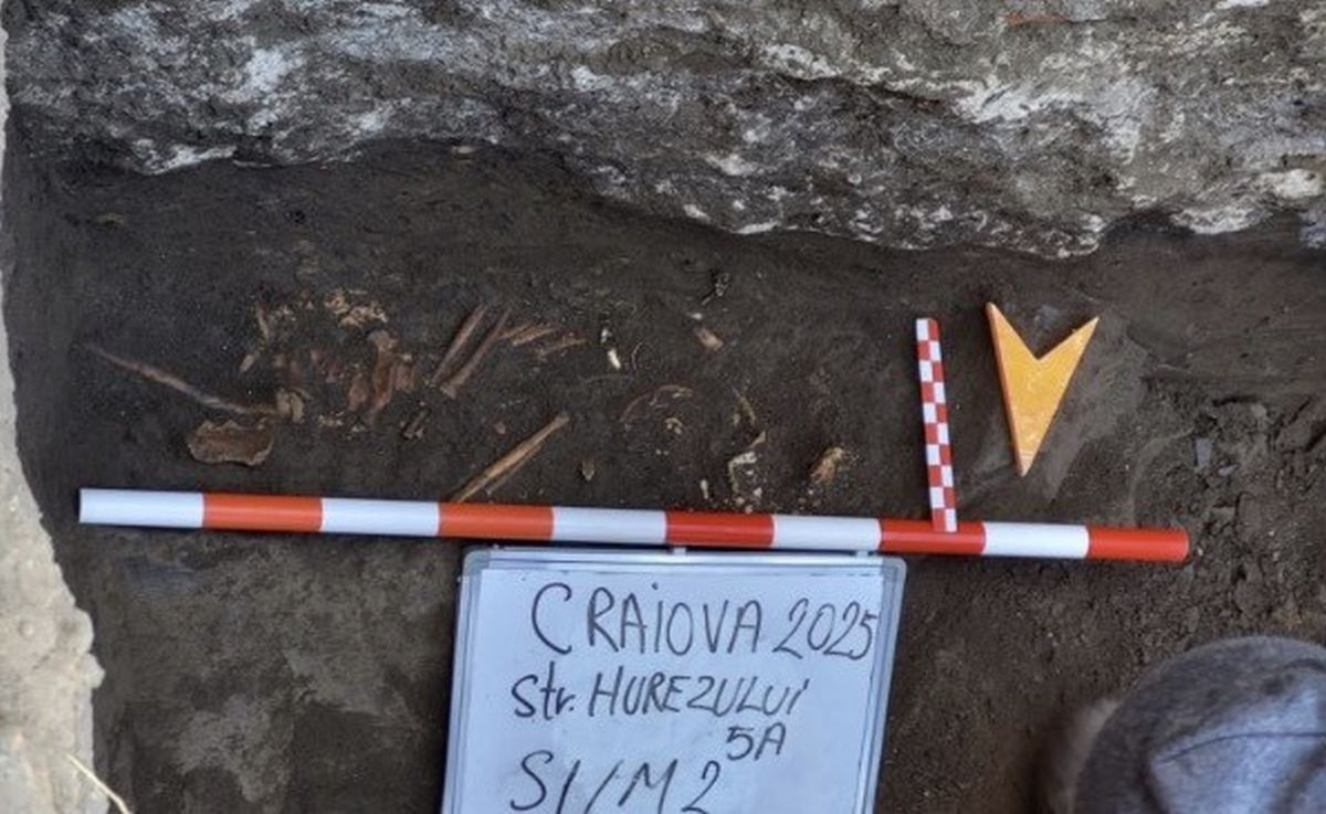 Obiecte din Epoca Bronzului și schelete din Evul Mediu, descoperite de arheologi în centrul Craiovei | Știri Craiova