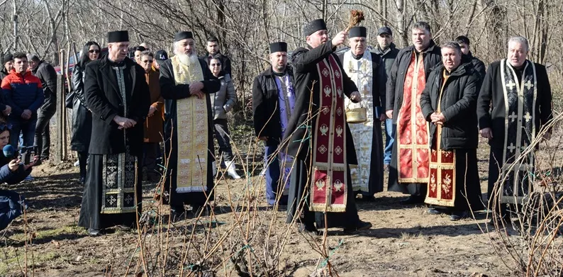 Sfântul Trifon, o sărbătoare a tradițiilor viticole din Olt