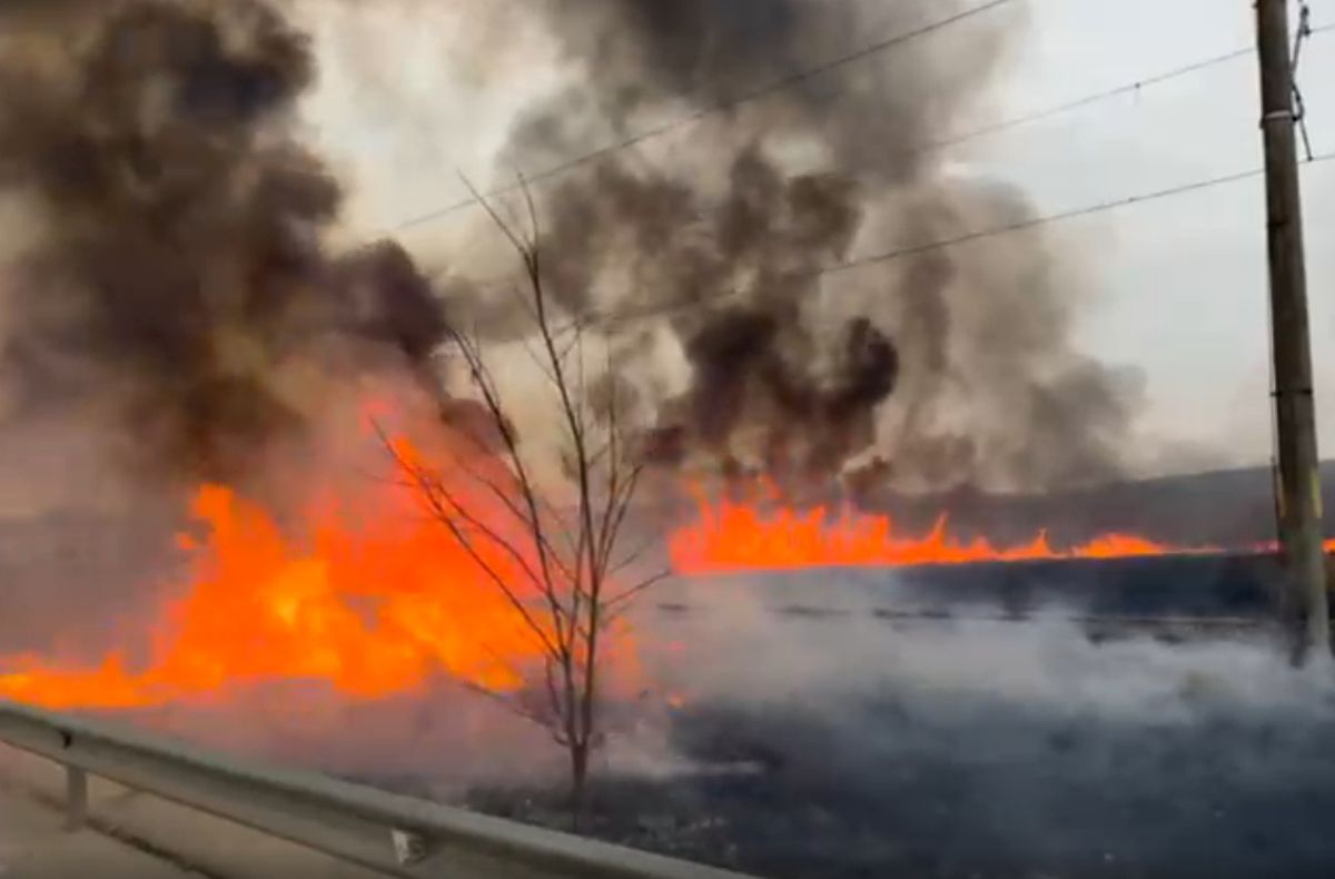 SĂPTĂMÂNA ONLINE | Trenul Bistrița Nord – Vatra Dornei, oprit din cauza unui incendiu de vegetație